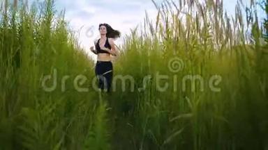 适合女人慢跑锻炼跑步的心脏户外通过高大的草地在夏季的田野。 女跑步运动员。